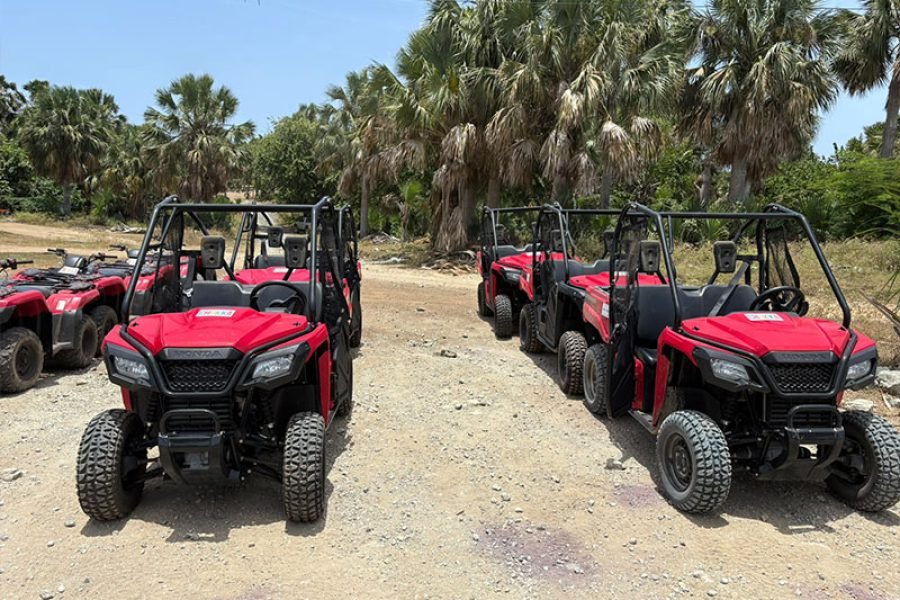 Buggy Adventure